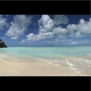 Meet your Posher, Ella